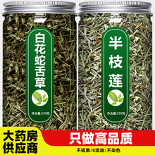 白花蛇舌草和半枝莲中药材新鲜野生正宗百花茶的功效与作用铁树叶