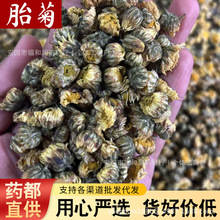 新货桐乡胎菊王500g花草茶杭白菊花养生花茶包批发散装大袋1斤装