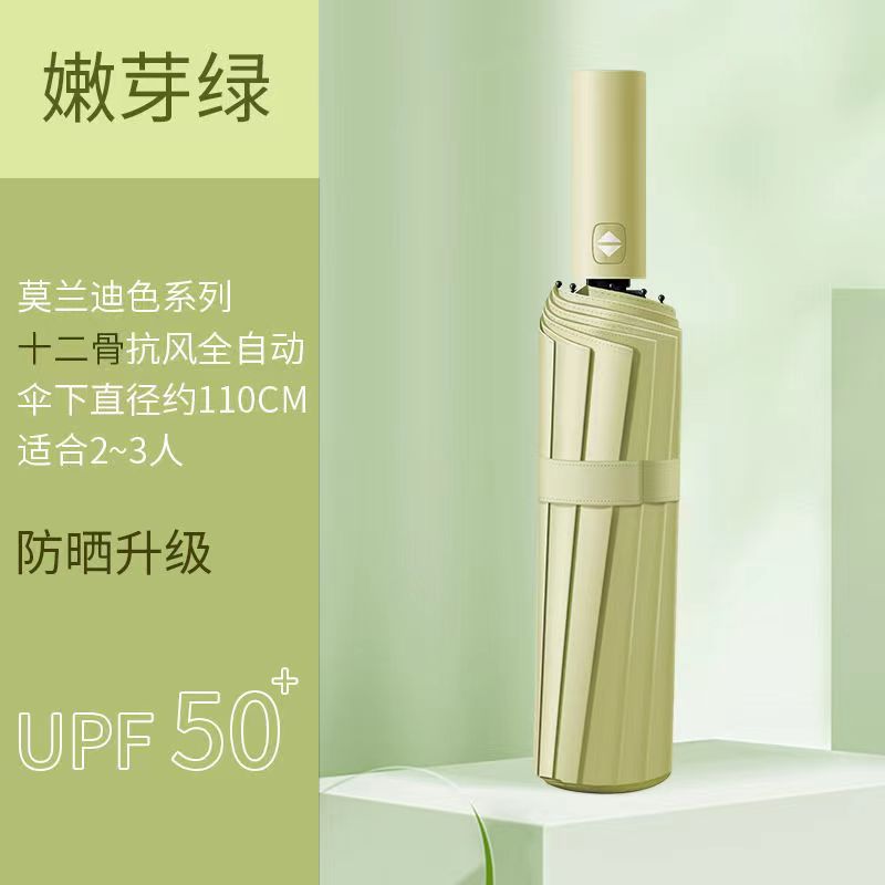 12 hueso Matcha vinilo automático