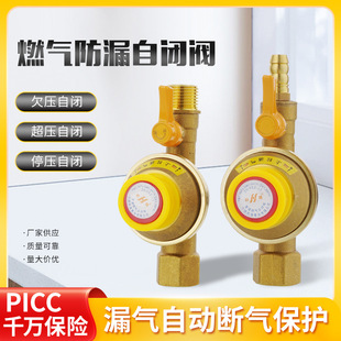 Natural Gas Self-Closing Valve Gas Pipeline Household Safety Valve Air Leakage Super Pressure Explosion-Proof Automatic Gas Cutting Brass Self-Closing Valve
