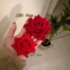 6004 red rose hair clip large