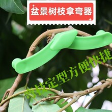 �O����֦���������¼��g����֦���ј��Ï����̈́e֦��֦�辰֧����