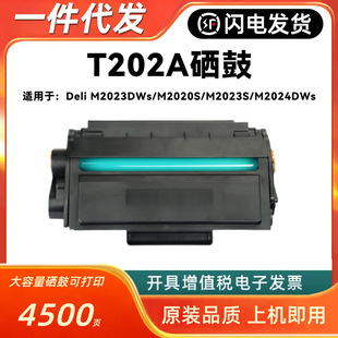 �m�õ���M2020DWs����T202Aī��M2023DWs M2020S M2024DWs̼�ۺ�