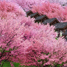 羳؛ձѻNľܷN ׷N׻ļ^ N