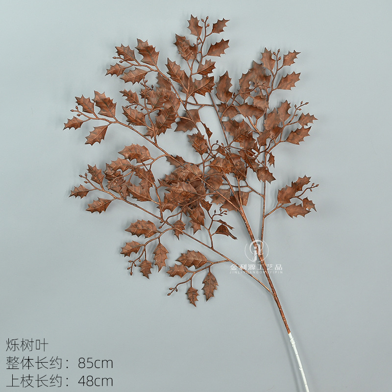 슈오는 다크 브라운 떠난다