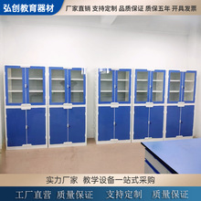 初高小学实验室仪器玻璃通风药品器皿试剂文件化学准备储存办公柜