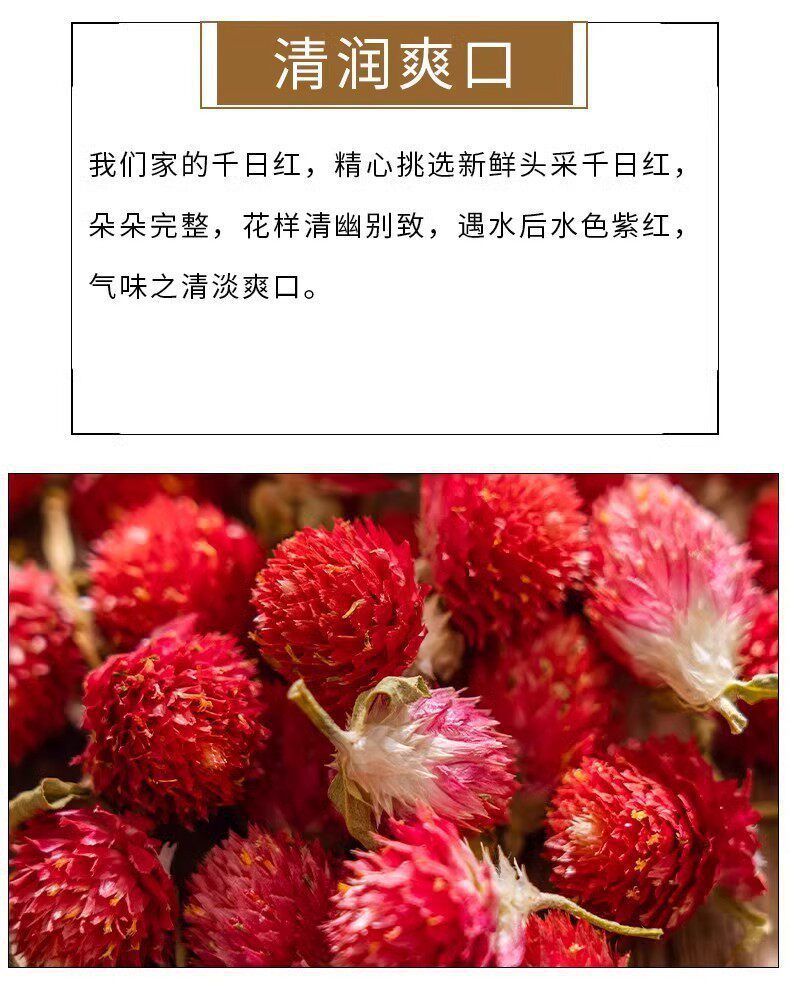 Red Globe Amaranth Dried Flowers Hong Qiao Mei 20g Jar Herbal Tea Flowers quality and texture
