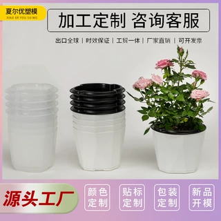 新款免浇水花盆懒人自动吸水网红绿萝月季透明塑料阳台兰花多肉盆