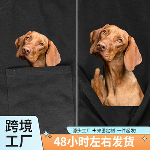 ���Qclocl�����Ĺ���ָ�ڴ�t����ëָᘹ�ӡ����t����ʿ�����r��