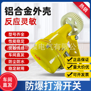 Explosion-proof high-sensitive belt speed detection high-end slip switch EXDH-III JDK-I XLDH-I
