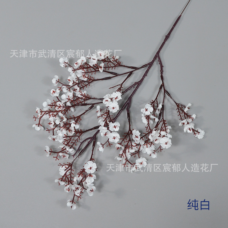 실크 퓨어 화이트