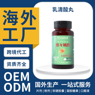 �羳�ձ�ԭ�b���������Z����Ƭ�����Ǵ��xƽ����ֵ�z��OEM����