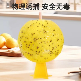 ��ω�T�����w�x�皢�����҃�ȥ���w�x���ǏN����xճ�x��