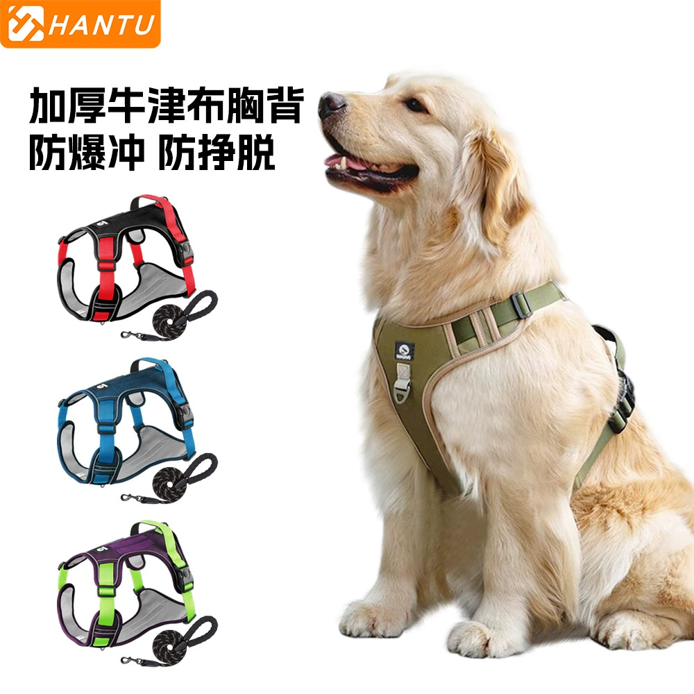 Трансграничная большая собака с грудной и задней спинкой