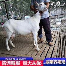 ƼlɽСôu ɽBֳ _ɽ