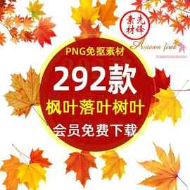 秋天季红色枫叶落叶树叶插画PNG免抠图片 秋季红枫叶背景PS素材