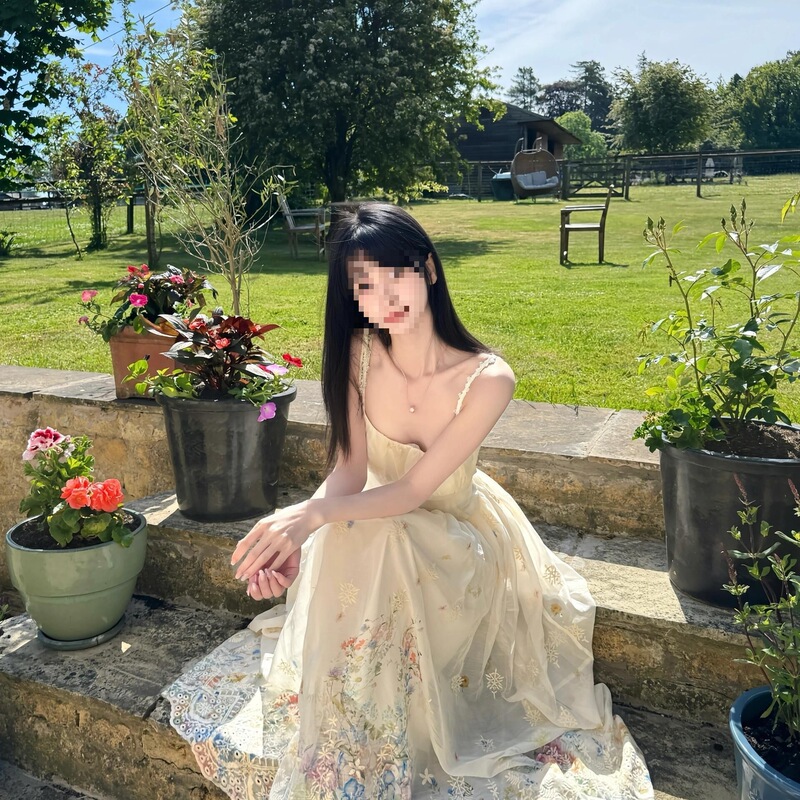 Goddess of Beauty Descends: Gradient Print Chiffon Strap Dress for Women, Slimming Waist, French Style Elegant Long Dress