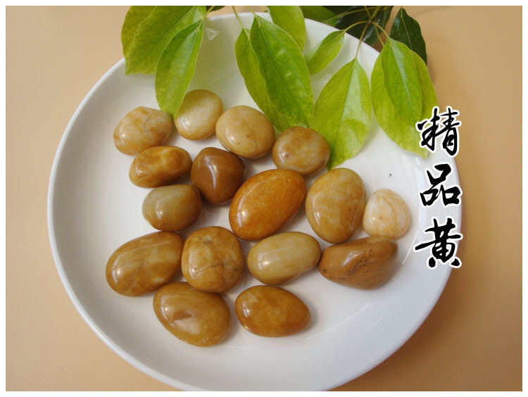 aca90c0a-d618-4223-a520-3a36701ce18b.jpe