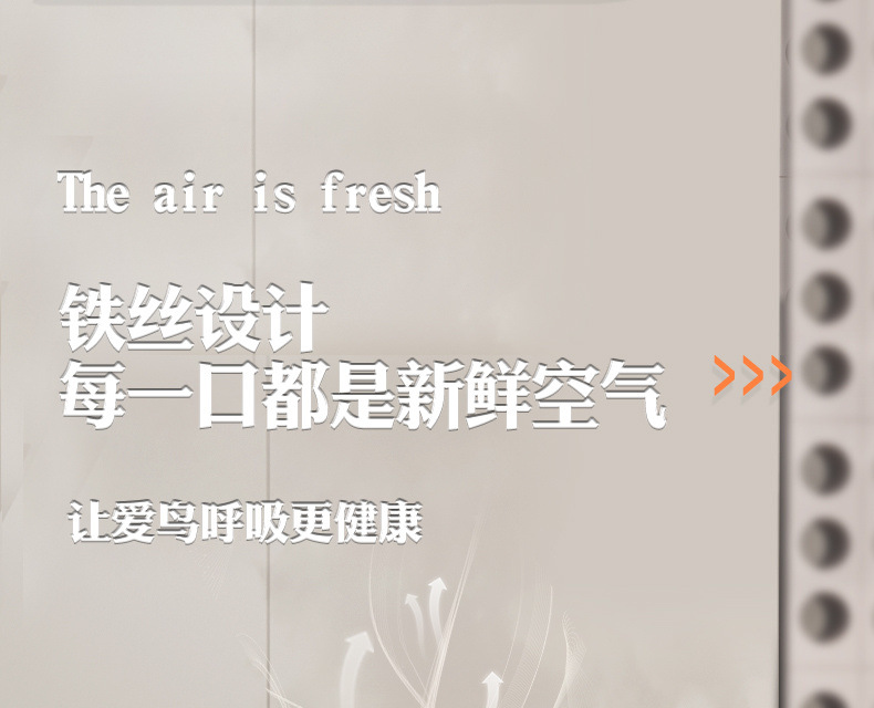 e6098f42-99f3-4503-9ea9-55553b793e50.jpe