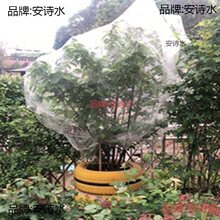 ���җ�÷ɏ�F������B����ω���x�W�֘���͸��͸���߲˴�����x�W