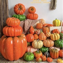 �����Ϲ�4cm-50cm��ĭ�f�}���ϹϏS��ֱ�N�����Ĕz���Ϲ�ģ��