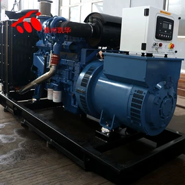 柴油发电机组;燃气发电机组;其他发电机