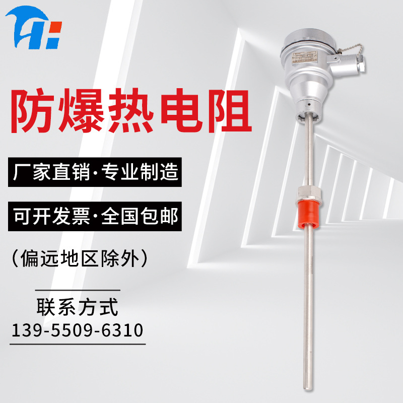 防爆PT100热电阻 装配固定螺纹法兰K型热电阻 耐磨铂佬防爆热电阻