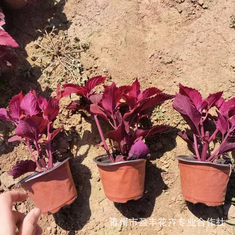 334b64dc5877084738a9b3754fc24f