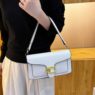 ���l����Ů2026�¿�r����֦�yС����б����羳lady����bags����