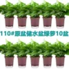 120#, Красный горшок, с резервуаром, зелёное растение