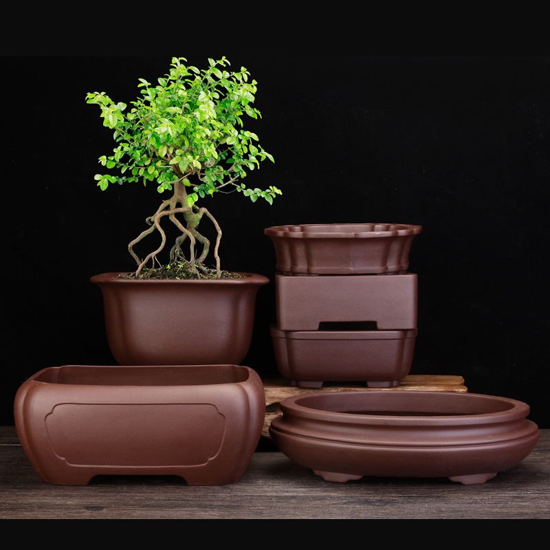 Yixing Purple Sand Flower Pot Classical Indoor Desktop Bonsai Pot Begonia Trough Pot Flower Green Plant Old Pile Pine and Cypress Wholesale Yixing Purple Sand Flower Pot Classical Indoor Desktop Bonsai Pot Begonia Trough Pot Flower Green Plant Old Pile Pine and Cypress Wholesale