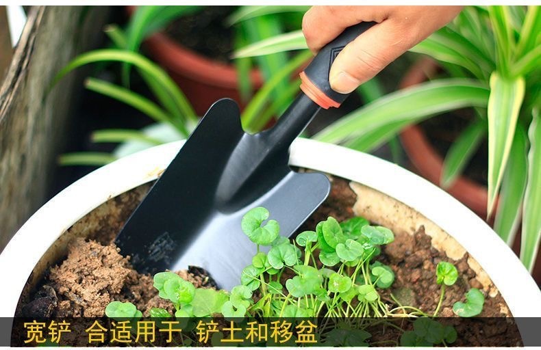 8e2d265e-0aeb-4d58-934b-25f6f28d1b2a.jpe