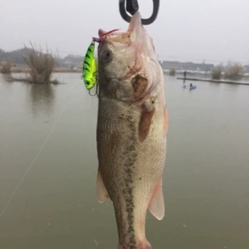 Люя костюм приманки, приманка, пресная и морская вода поддельная приманка жесткая приманка, громовая лягушка лошадь рот дынные семена бисерная мягкая приманка, приманка на Минской дороге