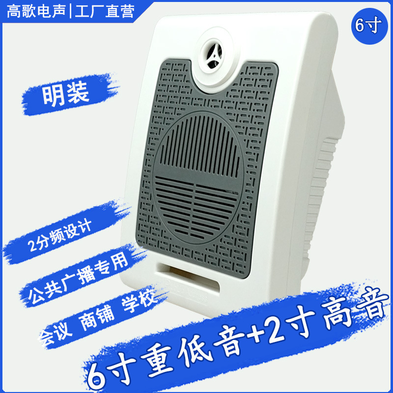 Factory Direct Supply of Constant Pressure Wall-Mounted Speakers, Broadcast Ceiling Speakers, Directional Constant Pressure Shopping Malls, Supermarkets, School Conferences