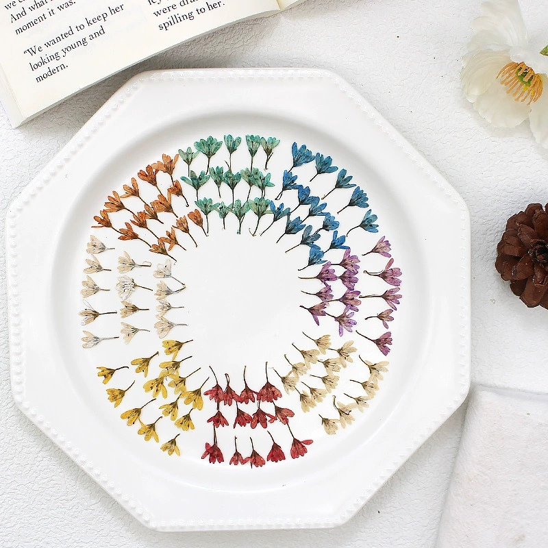 Тиснение тигрового хвоста цветочная живопись ручной работы свечи diy капающий клей материал ароматерапия ногтей лицо образец сушеного цветочного растения