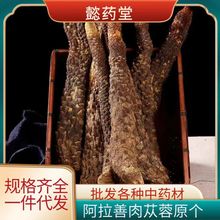 阿拉善肉苁蓉 沙漠人参软质大芸 肉苁蓉原个鲜切片