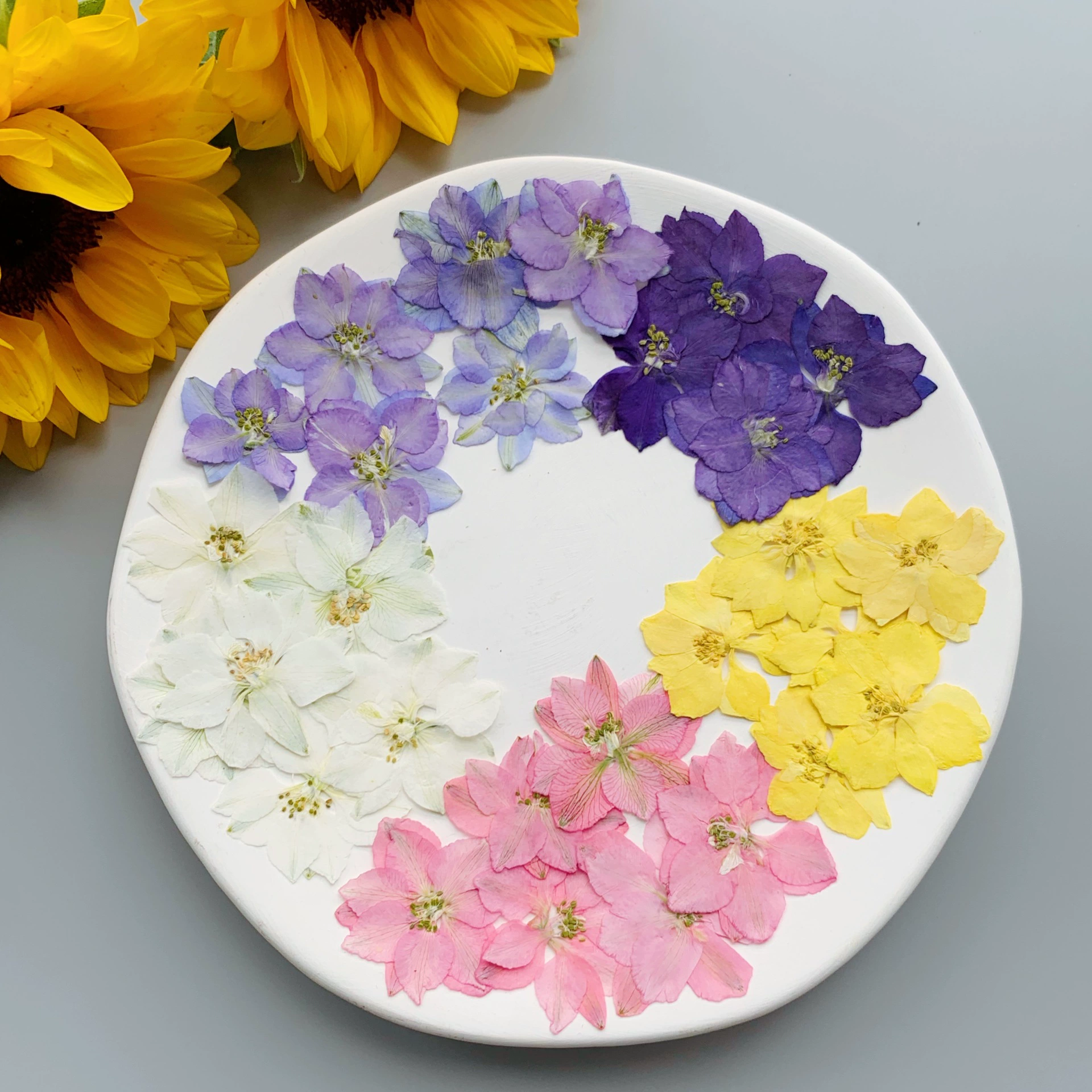 Feiyan цветок сушеный цветок тисненый Цветок Закладка гель капля чехол для мобильного телефона ручной работы DIY фото лицо декоративный образец растения