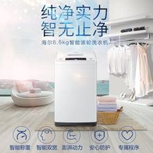 海尔小神童洗衣机波轮全自动6.5公斤学校宿舍家用小户型洗脱一体