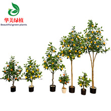 ���晎�����Ә䱱�W�L����Gֲ�����̈���䁲��������zӰ�Ĕz�b�