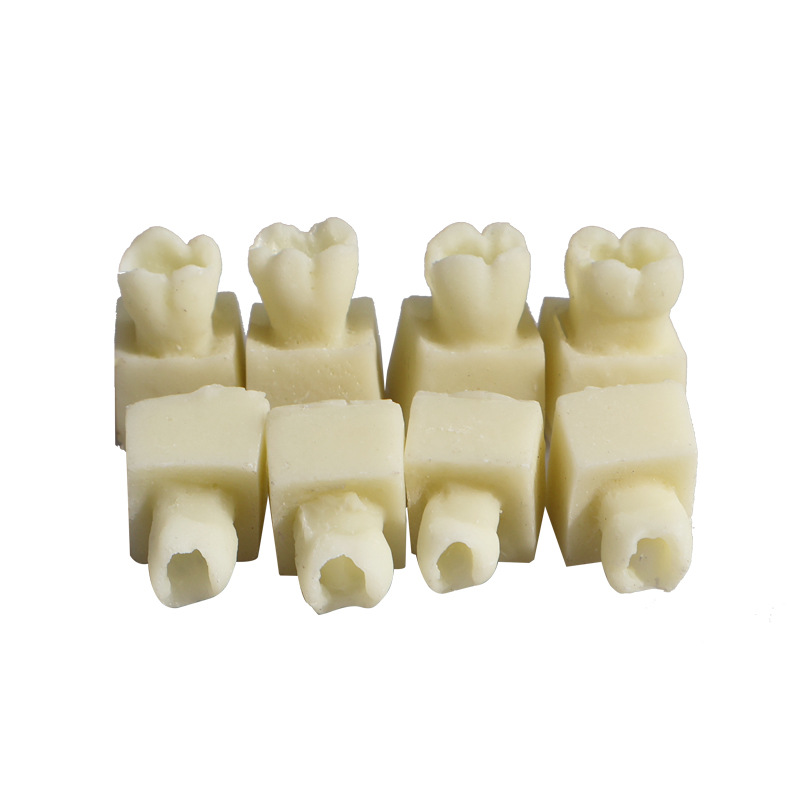 Ejercicios de inserción de resina diente granular modelo de ejercicio de relleno dental modelo de ejercicio de relleno de resina oral