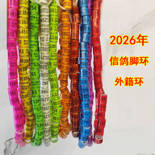 ���ӽŻ�2026�겻��֤��������ӻ��Ÿ��㻷�뻷�Ǻ���Ʒ�þ߸��