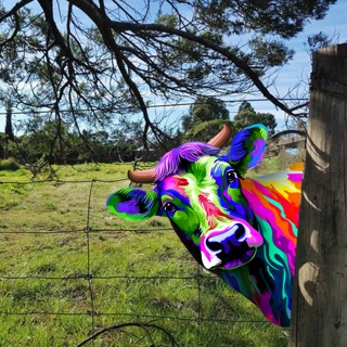 创意新款跨境铁艺彩色牛园林摆件花园庭院金属挂件Peeking cattle