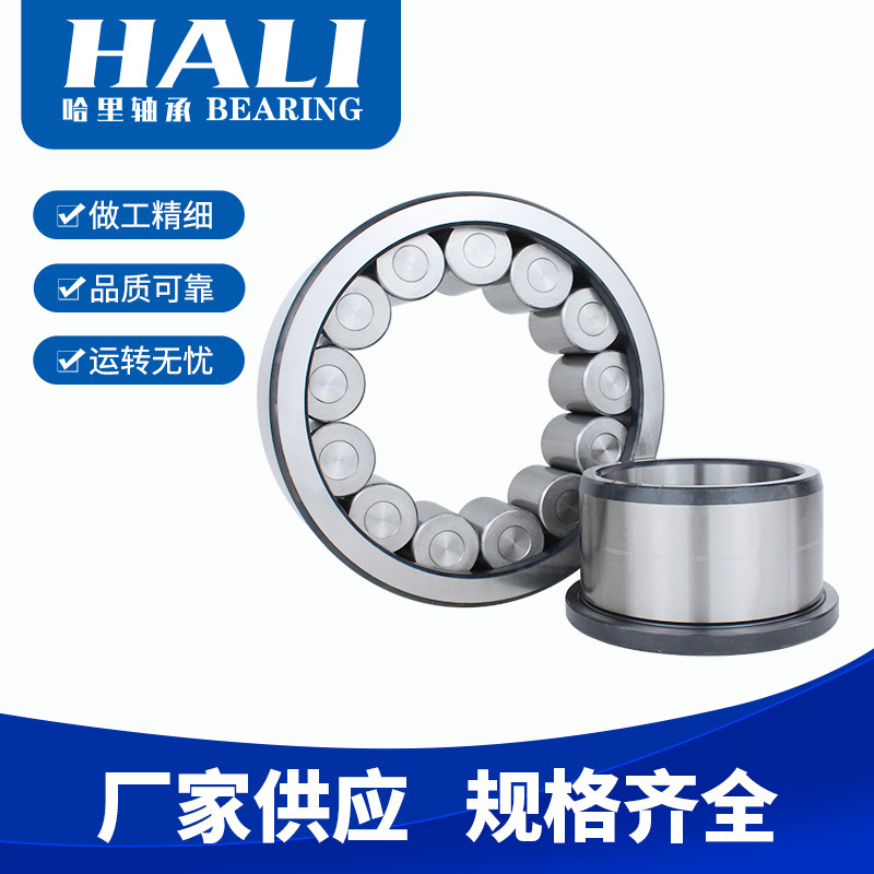 供应LSL192309A轴承    满装圆柱滚子轴承  滑轮用轴承