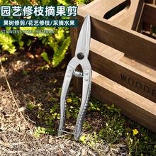 ���P䓼����rժ��С�S�����ɹ������Ӽ����ټ��߹���@ˇ��֦����