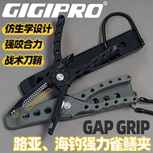 ·���Q�๦�ܿ��~���¿���~�Q�Ӵ����ݻ��~�A�X�~�A��~��Ʒ