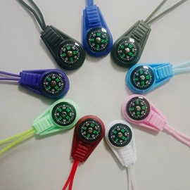 放大镜;指南针;地球仪