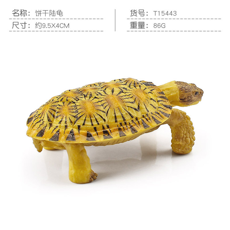 Transfronteriza Nueva simulación anfibio reptil modelo tierra tortuga elefante tortuga estrella tortuga estática decoración cognitiva decoración juguete