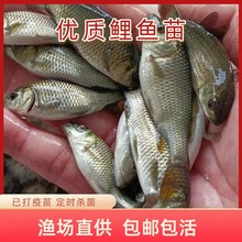 ���~�絾�����~ˮ�����~�tβ���~��ˮ�Bֳ�a�~��t���~���~�����~