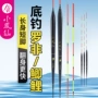 灵敏细长小凤仙鲫鱼