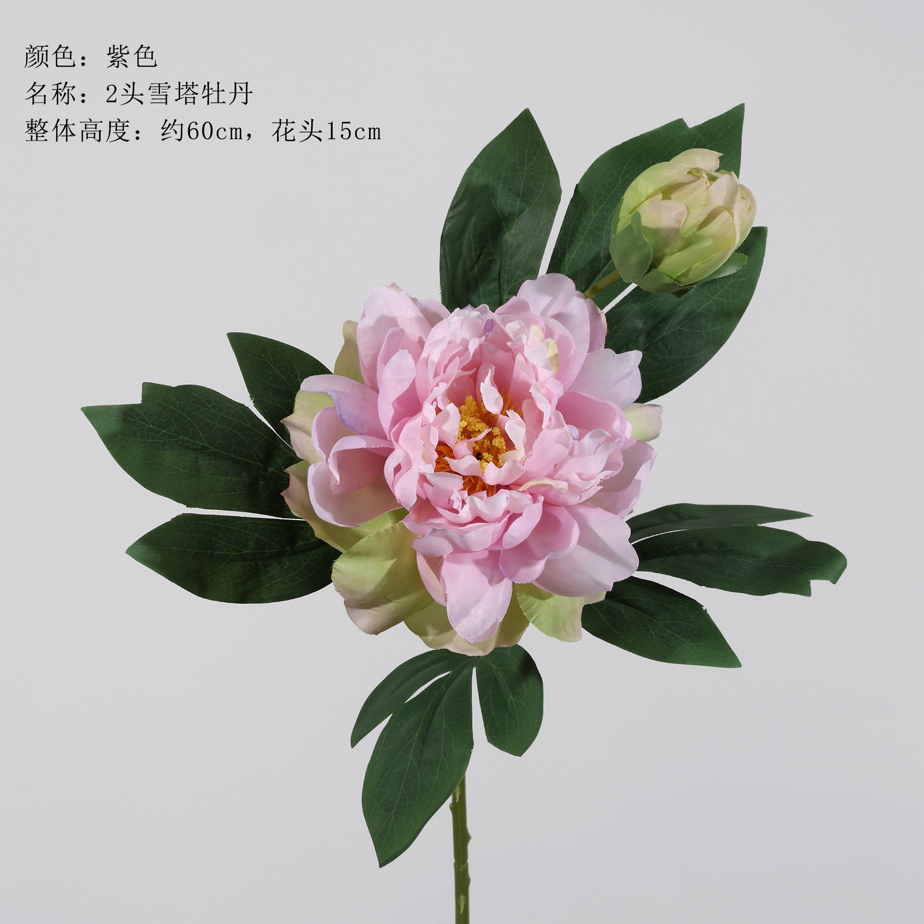 스노우 타워 모란 2개 - 보라색